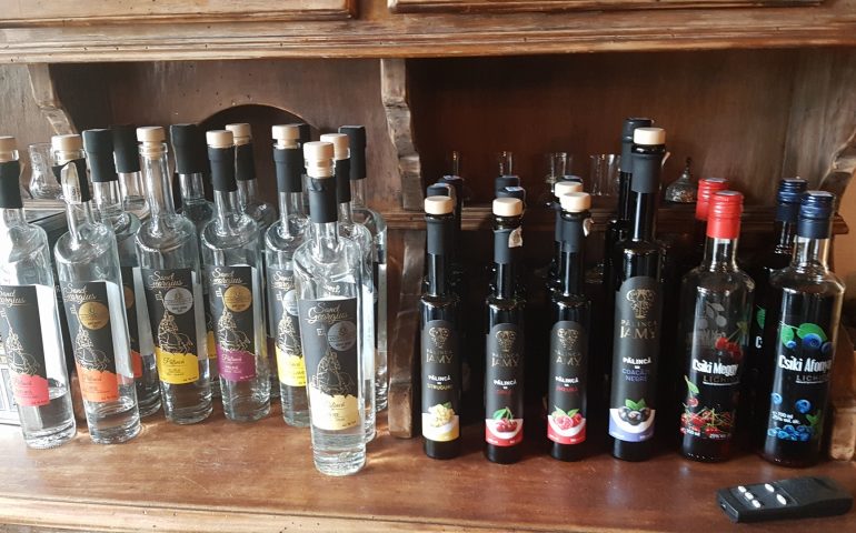 https://karpatiaettermek.hu/wp-content/uploads/2020/12/Balvanyosfurdo-Gastrolab-TE-etterem-8-770x480.jpg