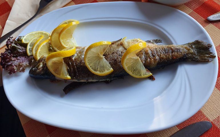 https://karpatiaettermek.hu/wp-content/uploads/2021/01/Csikszereda-Piricske-Mountain-Resort-Hegyi-Piheno-etterem-bar-6-770x480.jpg
