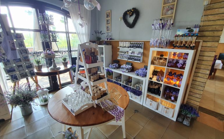 https://karpatiaettermek.hu/wp-content/uploads/2021/01/Csongrad-Vandor-tanya-etterem-7-770x480.jpg