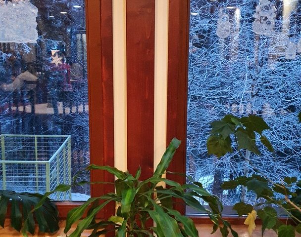 https://karpatiaettermek.hu/wp-content/uploads/2021/01/Hargita-Furdo-Bagolyko-Etterem-9-608x480.jpg