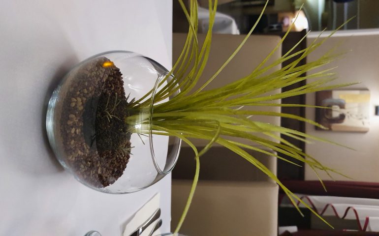 https://karpatiaettermek.hu/wp-content/uploads/2021/02/Nagymegyer-Corvin-etterem-2-770x480.jpg