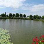 https://karpatiaettermek.hu/wp-content/uploads/2021/03/Nagyszalonta-Horgony-Etterem-8-150x150.jpg