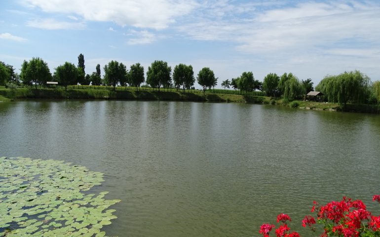 https://karpatiaettermek.hu/wp-content/uploads/2021/03/Nagyszalonta-Horgony-Etterem-8-770x480.jpg