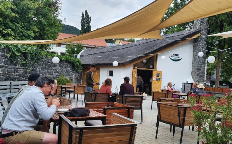 https://karpatiaettermek.hu/wp-content/uploads/2021/04/Badacsonytomaj-Plane-borbar-2-770x480.jpg