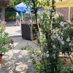 https://karpatiaettermek.hu/wp-content/uploads/2021/04/Tihany-Fish-Point-Etterem-2-150x150.jpg
