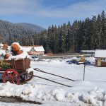https://karpatiaettermek.hu/wp-content/uploads/2021/04/Tusnadfurdo-Fortuna-Etterem-2-150x150.jpg