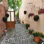 https://karpatiaettermek.hu/wp-content/uploads/2021/06/Dicsoszentmarton-Art-club-etterem-3-150x150.jpg