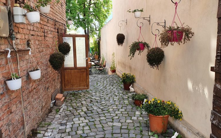 https://karpatiaettermek.hu/wp-content/uploads/2021/06/Dicsoszentmarton-Art-club-etterem-3-770x480.jpg