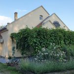 https://karpatiaettermek.hu/wp-content/uploads/2021/08/Hajdujaras-1880-Natural-Food-and-Wine-Etterem-1-150x150.jpg