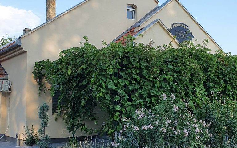 https://karpatiaettermek.hu/wp-content/uploads/2021/08/Hajdujaras-1880-Natural-Food-and-Wine-Etterem-1-770x480.jpg