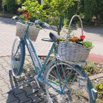 https://karpatiaettermek.hu/wp-content/uploads/2021/08/Szovata-Kicsi-gomba-Etterem-1-150x150.jpg