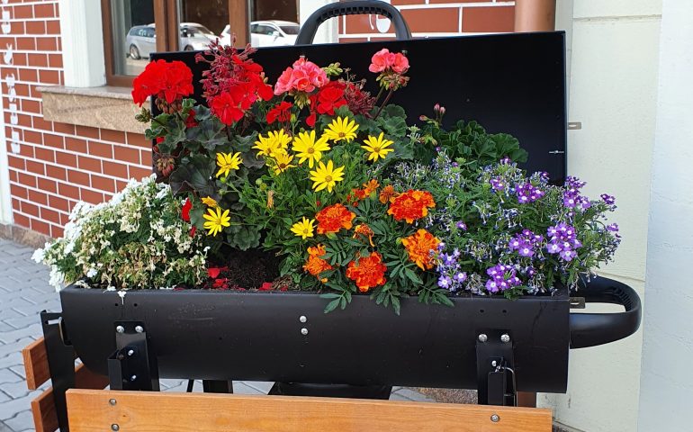 https://karpatiaettermek.hu/wp-content/uploads/2021/08/Temesvar-Smoking-BBQ-Etterem-3-770x480.jpg
