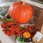 https://karpatiaettermek.hu/wp-content/uploads/2021/09/Balatonalmadi-Veganeeta-Etterem-8-150x150.jpg