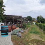 https://karpatiaettermek.hu/wp-content/uploads/2021/09/Csopak-Petranyi-Etterem-1-150x150.jpg