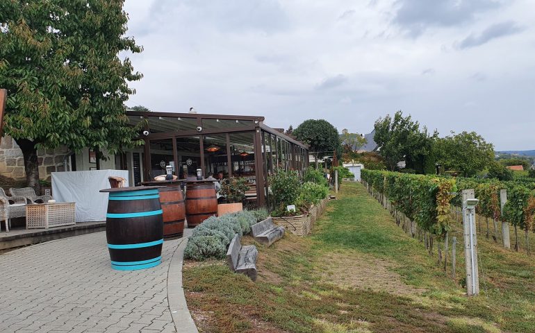 https://karpatiaettermek.hu/wp-content/uploads/2021/09/Csopak-Petranyi-Etterem-1-770x480.jpg