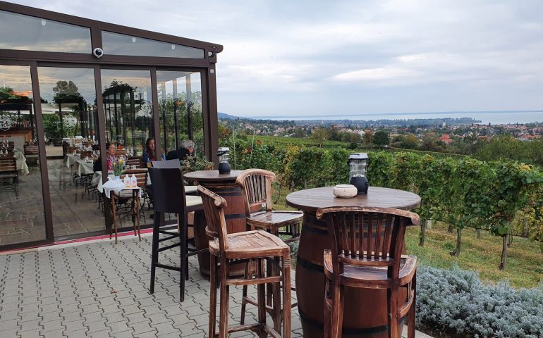 https://karpatiaettermek.hu/wp-content/uploads/2021/09/Csopak-Petranyi-Etterem-10-770x480.jpg