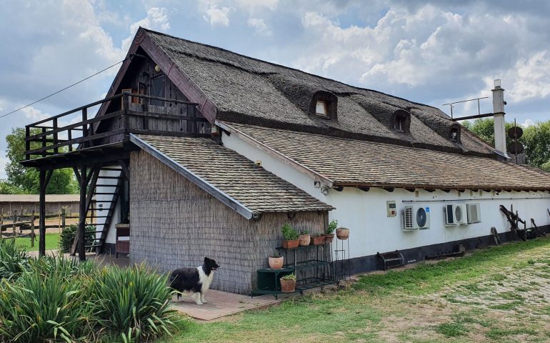 https://karpatiaettermek.hu/wp-content/uploads/2021/09/Ruzsa-tanya-Homoki-asztal-Etterem-2-770x480.jpg
