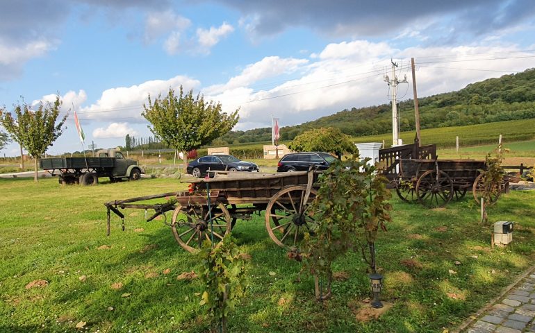 https://karpatiaettermek.hu/wp-content/uploads/2021/11/Csarnota-Tenkes-csarda-2-770x480.jpg