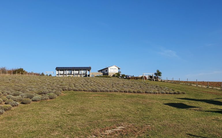 https://karpatiaettermek.hu/wp-content/uploads/2021/11/Zebegeny-Natura-hill-Etterem-1-770x480.jpg