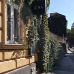 https://karpatiaettermek.hu/wp-content/uploads/2022/06/20191001_143119-150x150.jpg
