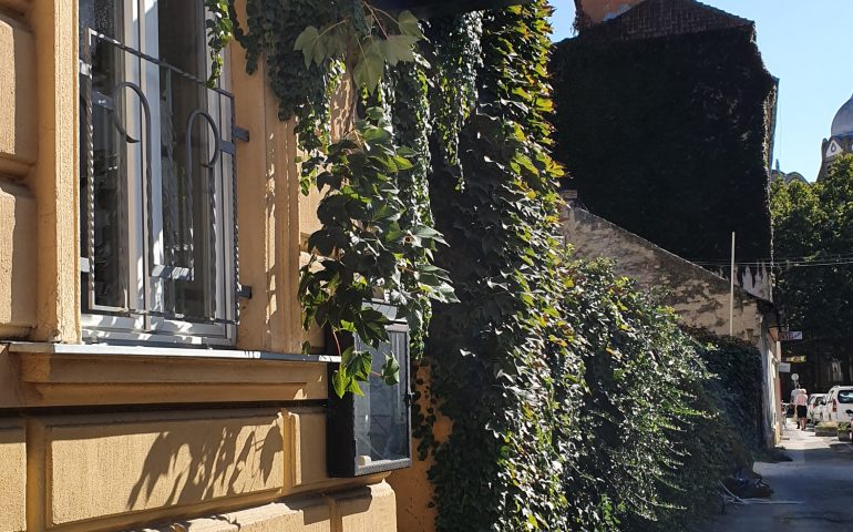 https://karpatiaettermek.hu/wp-content/uploads/2022/06/20191001_143119-770x480.jpg