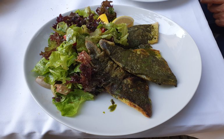 https://karpatiaettermek.hu/wp-content/uploads/2022/06/20191001_153603-770x480.jpg