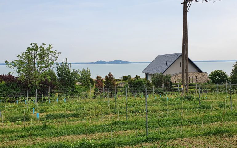 https://karpatiaettermek.hu/wp-content/uploads/2022/06/20220508_173821-770x480.jpg