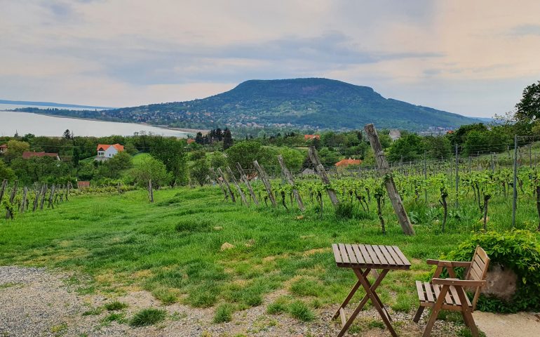 https://karpatiaettermek.hu/wp-content/uploads/2022/06/20220508_174410-770x480.jpg