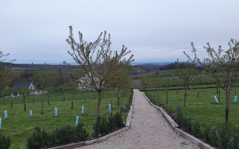 https://karpatiaettermek.hu/wp-content/uploads/2023/05/20230415_192740-770x480.jpg