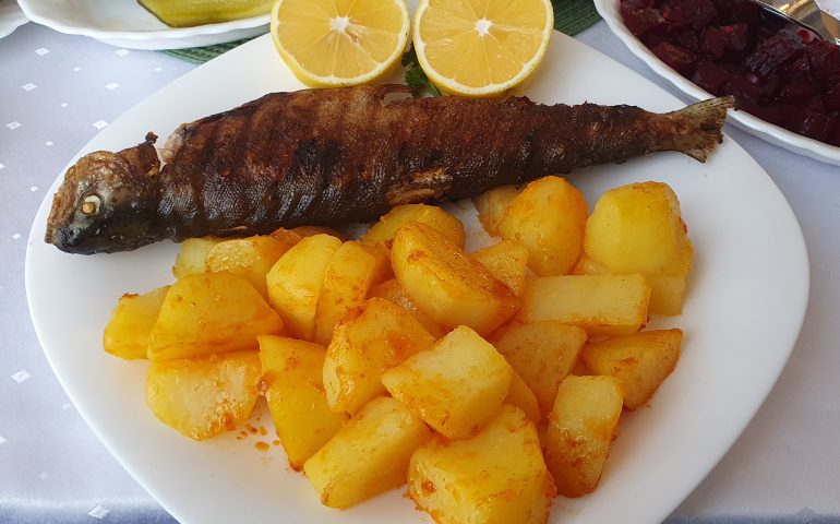 https://karpatiaettermek.hu/wp-content/uploads/2024/03/20231214_113230-770x480.jpg