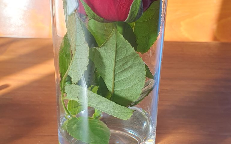 https://karpatiaettermek.hu/wp-content/uploads/2024/03/20240125_125125-770x480.jpg
