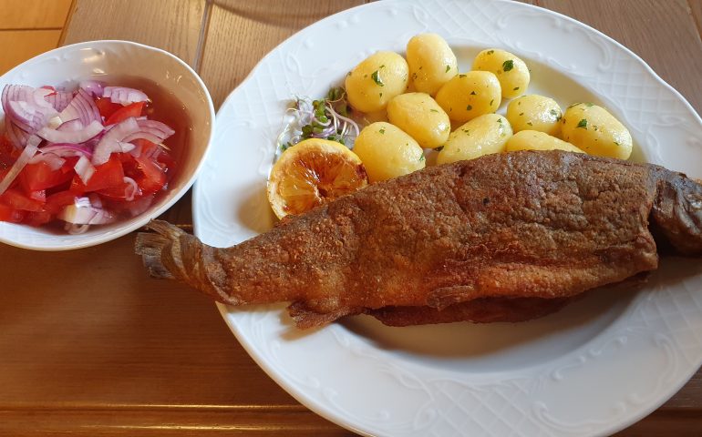 https://karpatiaettermek.hu/wp-content/uploads/2024/03/20240316_161329-770x480.jpg
