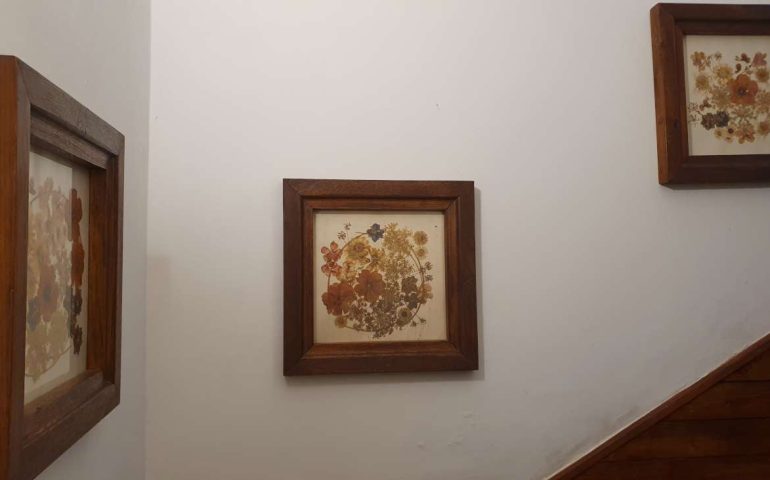 https://karpatiaettermek.hu/wp-content/uploads/2024/06/20240605_190919-1300-770x480.jpg