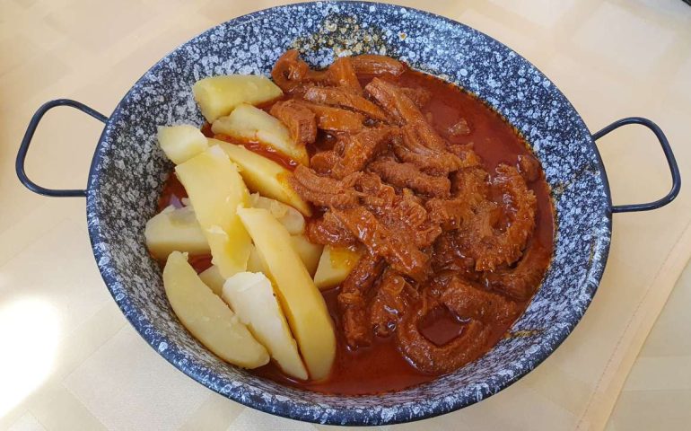 https://karpatiaettermek.hu/wp-content/uploads/2024/07/20240721_142607-1300-770x480.jpg