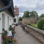 https://karpatiaettermek.hu/wp-content/uploads/2025/06/20250528_175737-1300-150x150.jpg