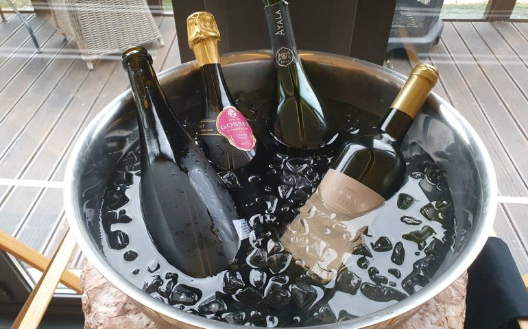 https://karpatiaettermek.hu/wp-content/uploads/2025/06/20250528_191115-1300-770x480.jpg