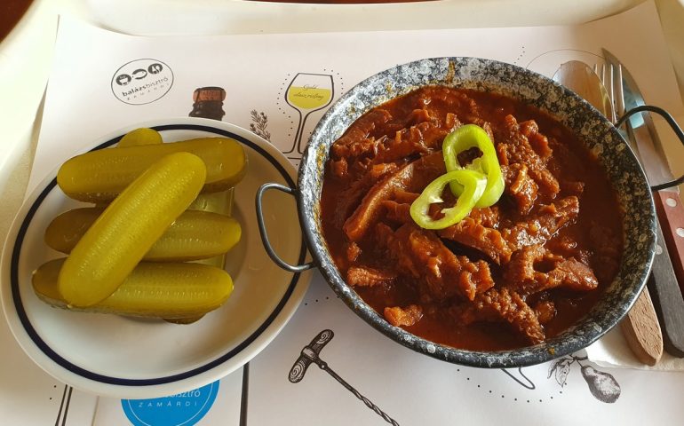 https://karpatiaettermek.hu/wp-content/uploads/2025/06/20250601_104046-1300-770x480.jpg