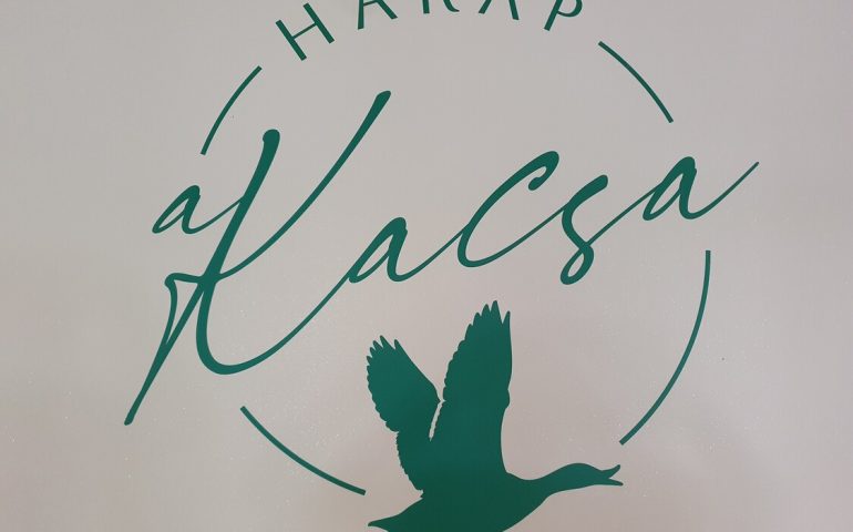 https://karpatiaettermek.hu/wp-content/uploads/2025/06/20250603_155354-1300-770x480.jpg