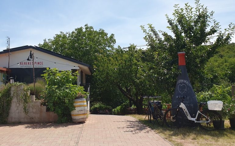 https://karpatiaettermek.hu/wp-content/uploads/2025/07/20250712_123104-1300-770x480.jpg
