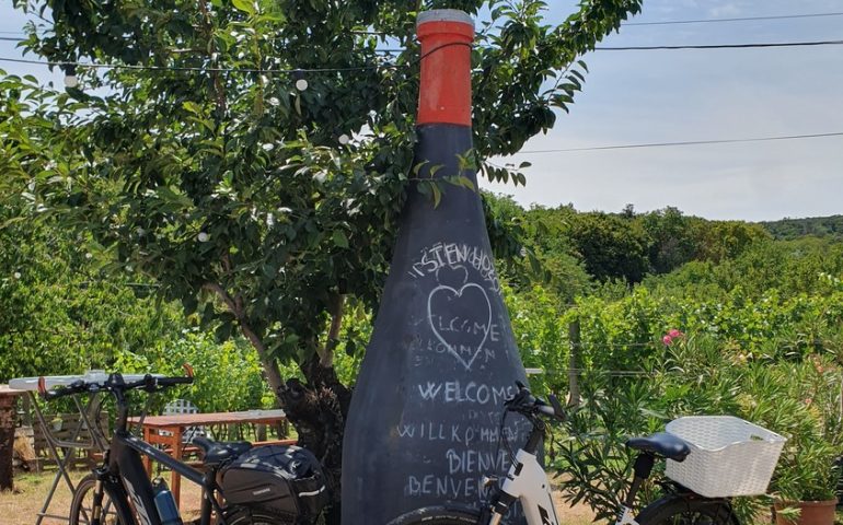 https://karpatiaettermek.hu/wp-content/uploads/2025/07/20250712_123110-1300-770x480.jpg