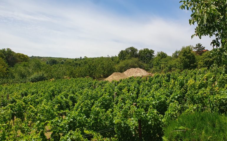 https://karpatiaettermek.hu/wp-content/uploads/2025/07/20250712_123825-1300-770x480.jpg