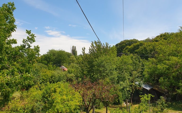 https://karpatiaettermek.hu/wp-content/uploads/2025/07/20250712_123832-1300-770x480.jpg