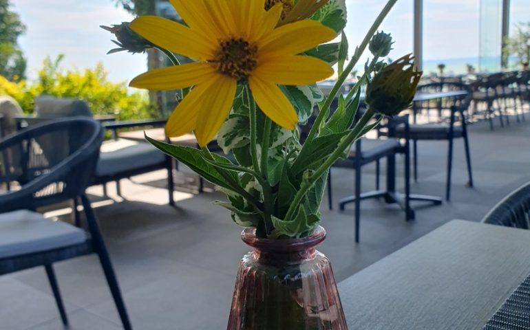 https://karpatiaettermek.hu/wp-content/uploads/2025/07/20250713_144214-1300-770x480.jpg
