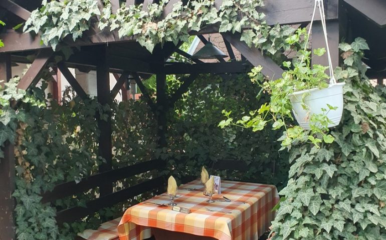 https://karpatiaettermek.hu/wp-content/uploads/2025/08/20250802_134801-1300-770x480.jpg