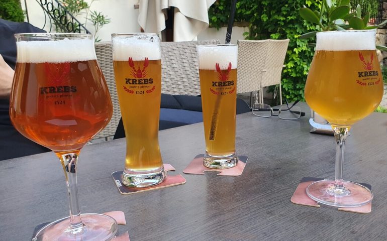 https://karpatiaettermek.hu/wp-content/uploads/2025/08/20250806_194129-1300-770x480.jpg