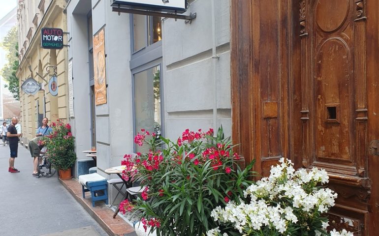 https://karpatiaettermek.hu/wp-content/uploads/2026/06/20260609_141703-1300-770x480.jpg