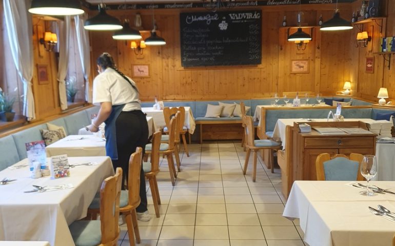 https://karpatiaettermek.hu/wp-content/uploads/2026/06/20260613_154223-1300-770x480.jpg