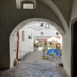 https://karpatiaettermek.hu/wp-content/uploads/2026/07/20260702_122751-1300-150x150.jpg